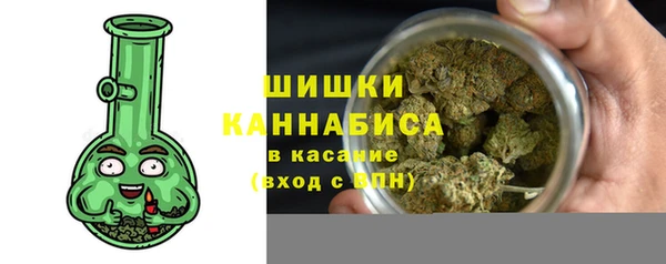 прущие грибы Нягань
