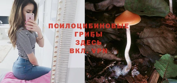 прущая мука Новозыбков