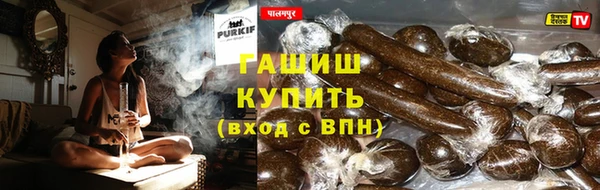 прущие грибы Нягань