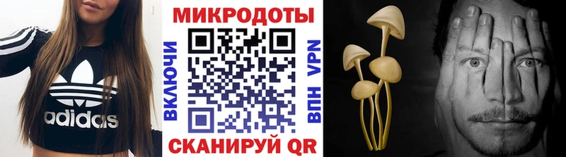 где купить   Карпинск  Галлюциногенные грибы мухоморы 