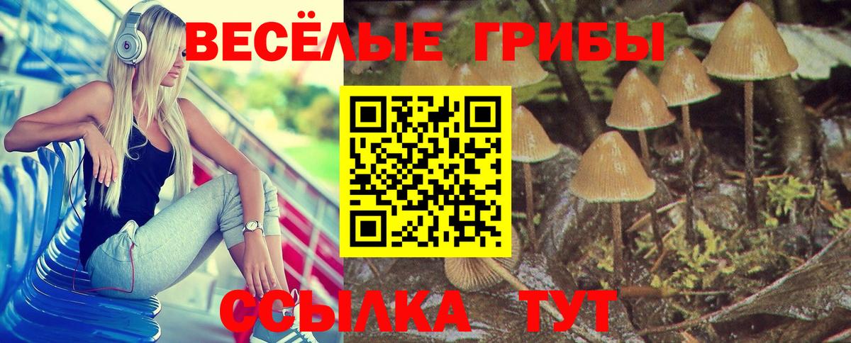 Псилоцибиновые грибы Psilocybe Карпинск