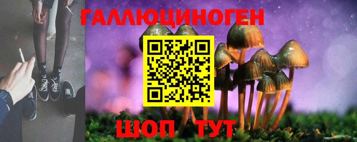 где купить наркотик  Галлюциногенные грибы MAGIC MUSHROOMS  Псилоцибиновые грибы Cubensis  Вход с VPN  Карпинск 